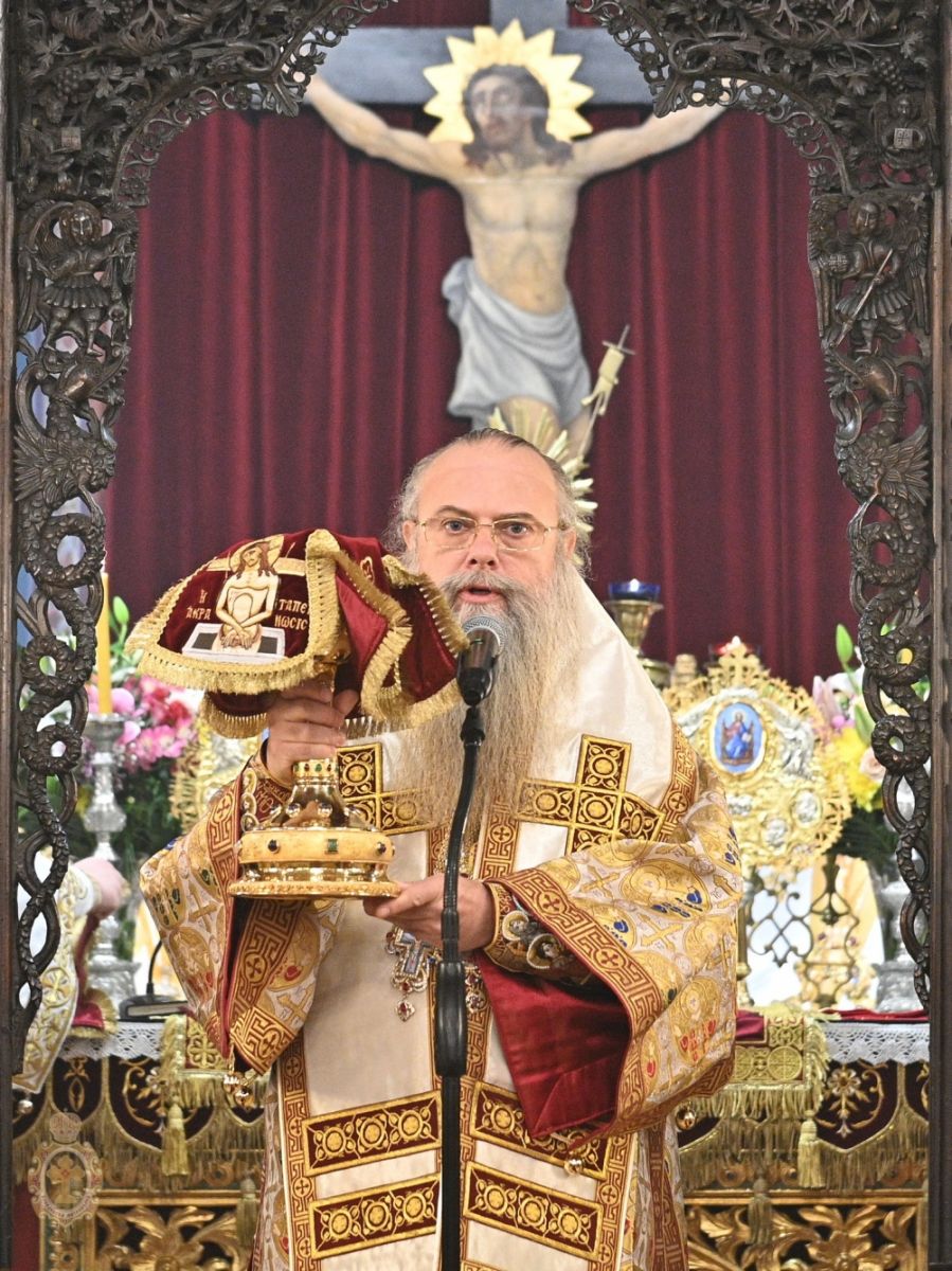 64.jpg