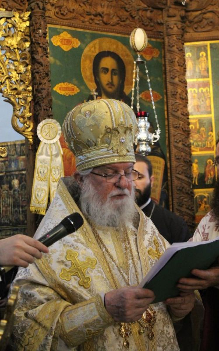 Видински митрополит Дометиан